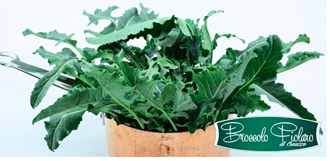 broccolo fiolaro